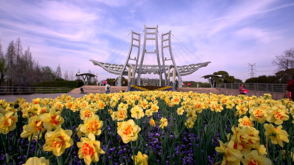 闵行体育公园内的景致&nbsp; 本文图均为&nbsp;闵行区供图