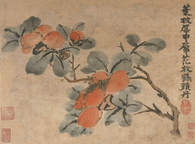 清 石涛 木槿图