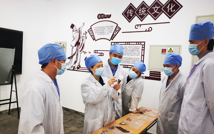 吕建媛给徒弟讲解黄芩形态特征。企业供图