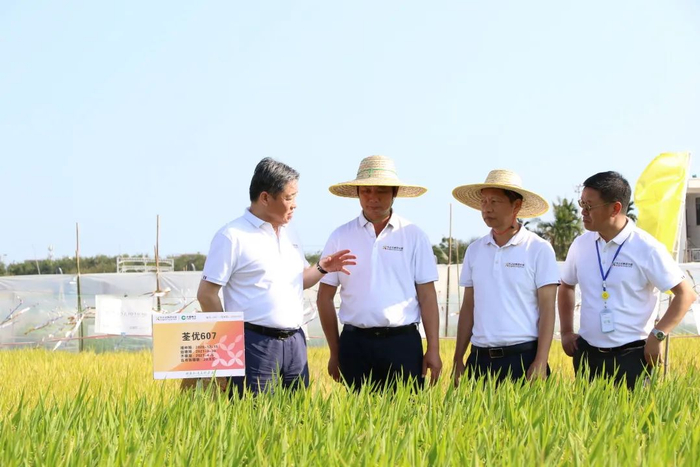 2021年4月19日，宁高宁董事长调研海南三亚南繁育种基地