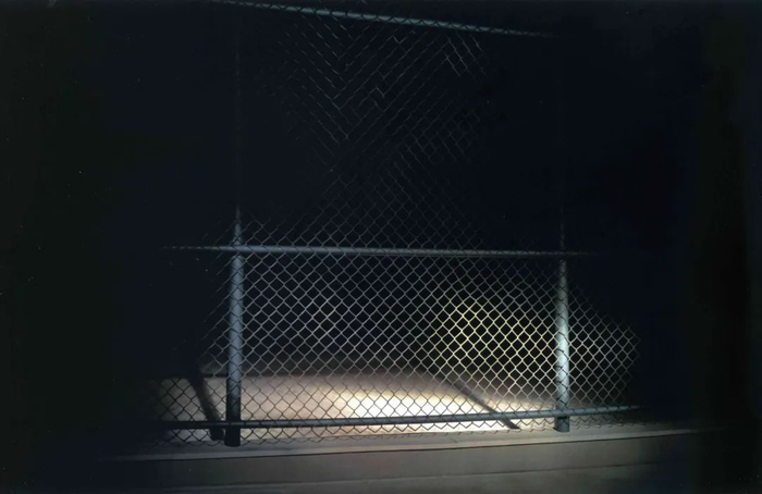 围栏，2004。托马斯·德曼作品