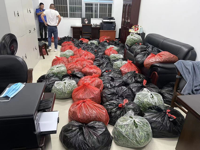 湘阴市市场监管局查获的假辣椒。湘阴市监执法大队供图