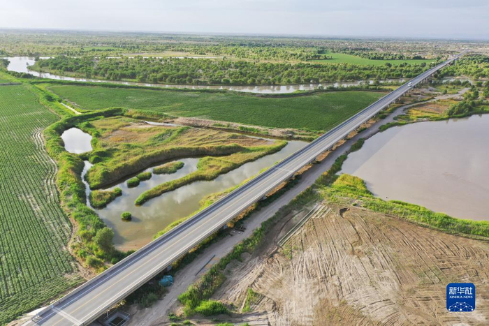 　　尉犁至且末沙漠公路穿越塔里木河和胡杨林（6月22日摄，无人机照片）。新华社记者 李响 摄