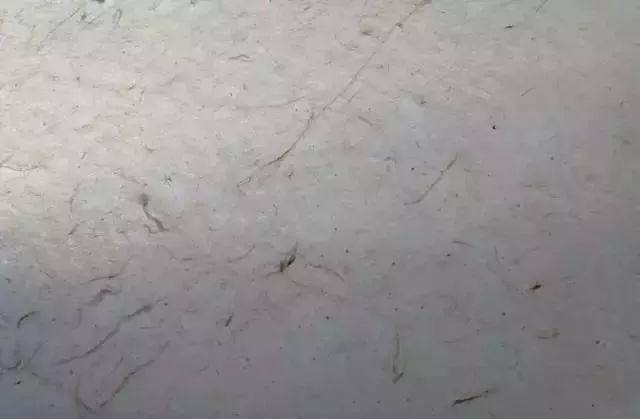 研究|古籍用纸张|麻纸|西汉|宣纸|东汉|纸色_新浪新闻