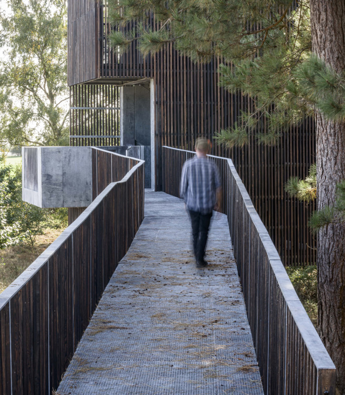 皇家墓地萨顿胡