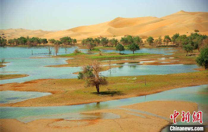 湖面波光粼粼，有鲤鱼、鲫鱼、白条等各种鱼类，成为天鹅、鸬鹚、白鹭、银鸥、黄鸭等鸟类的栖息地。　史玉江 摄