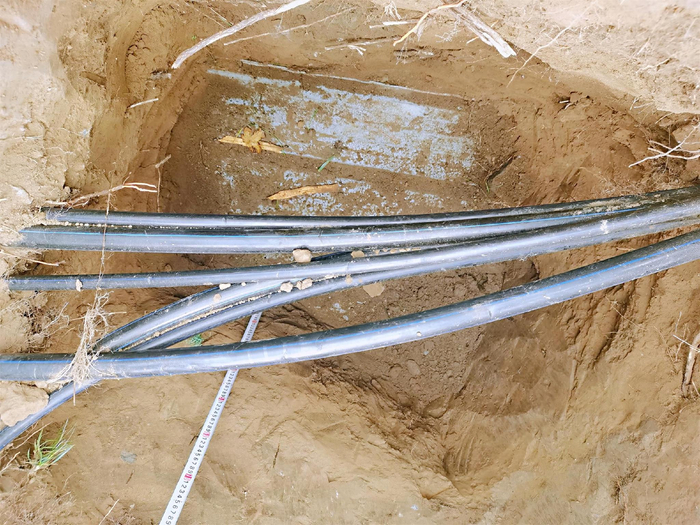 从复壮沟里可以看到行道树艰难的生存环境