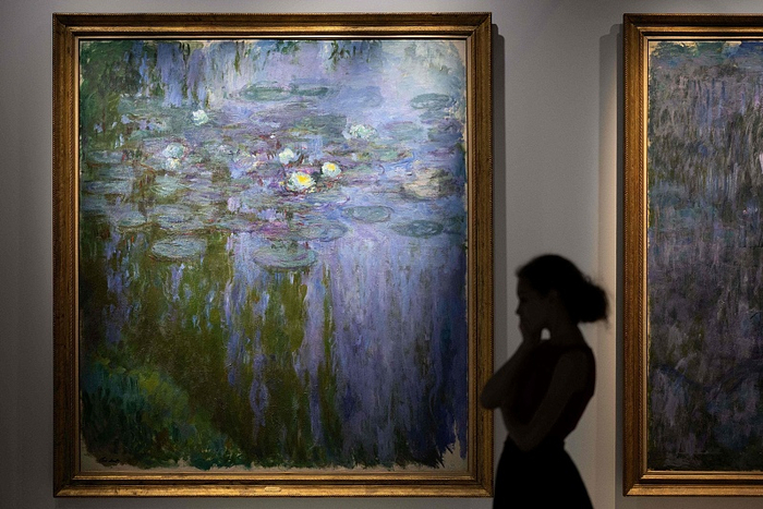 2022年法国芳特弗罗现代艺术博物馆“莫奈的艺术蜕变”展览。 图/视觉中国