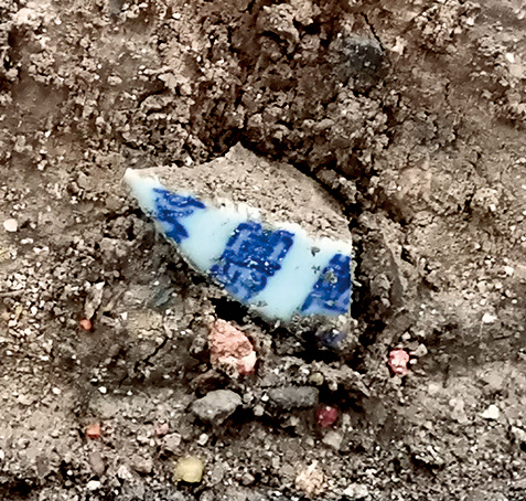 〔图三〕瓷片在国槐树坑内情况