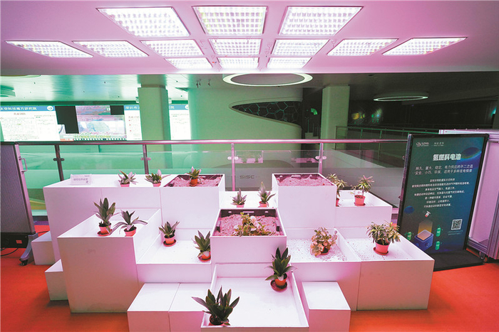 ▲植物通过人造光的照射，实现了持续生长。