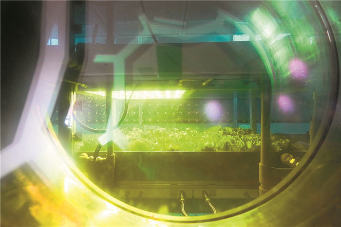 ▲模拟“太空舱”内，通过人工补光、无土栽培、环境智能控制技术栽培蔬菜。