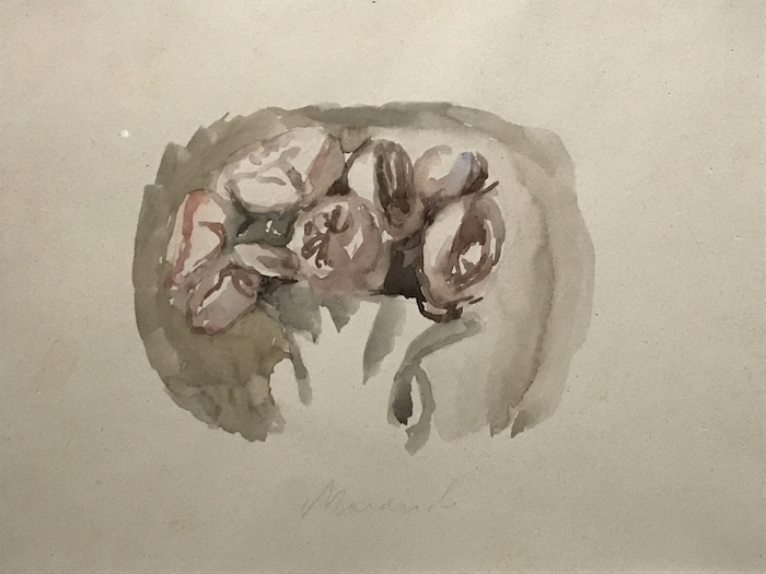 展厅现场，莫兰迪的水彩静物画