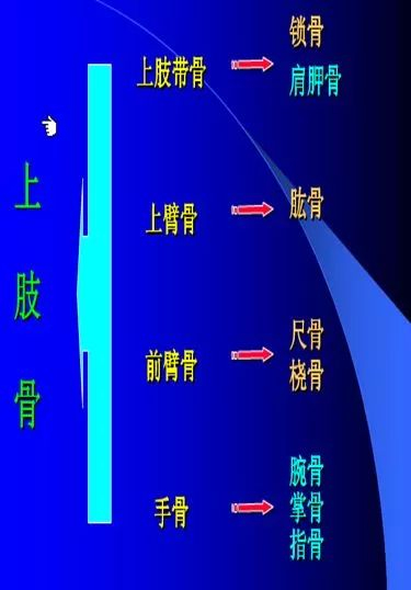 骨科直接牵引包括哪些骨科护理的那些基本知识,你都了解了么?_新闻资讯_第3张_活检穿刺产品网 骨科直接牵引包括哪些骨科护理的那些基本知识,你都了解了么?_https://www.jmylbn.com_新闻资讯_第3张