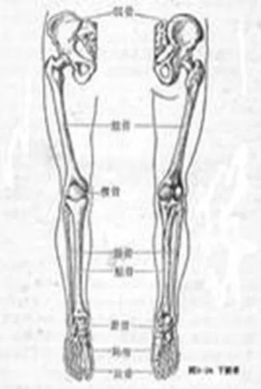 骨科直接牵引包括哪些骨科护理的那些基本知识,你都了解了么?_新闻资讯_第4张_活检穿刺产品网 骨科直接牵引包括哪些骨科护理的那些基本知识,你都了解了么?_https://www.jmylbn.com_新闻资讯_第4张