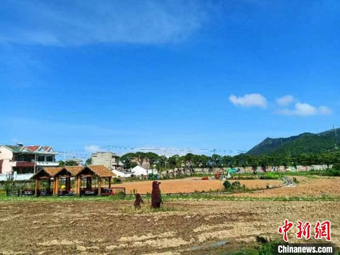 岱山衢山镇三弄村田园风景。　魏嫣然 摄