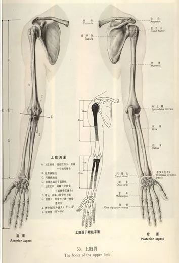 骨科直接牵引包括哪些骨科护理的那些基本知识,你都了解了么?_新闻资讯_第2张_活检穿刺产品网 骨科直接牵引包括哪些骨科护理的那些基本知识,你都了解了么?_https://www.jmylbn.com_新闻资讯_第2张