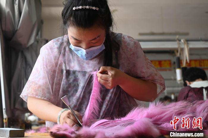 依托健全完善的产购销体制机制，大营镇的“皮毛经济”方兴未艾。　翟羽佳 摄