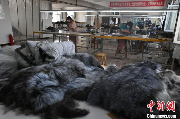 距离裘皮销售旺季还有几个月，枣强县达盛源皮草制品有限公司生产车间已经开始繁忙。　翟羽佳 摄
