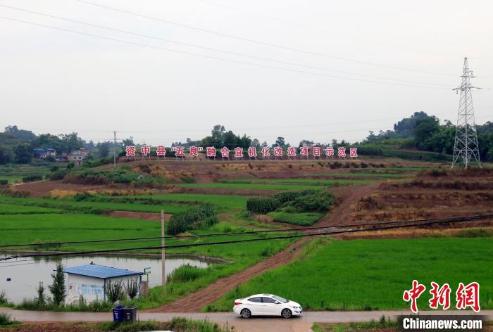 项目示范区。　王磊 摄