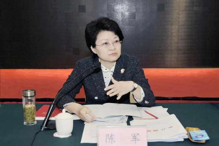 陈军（资料图 图片来源：安徽统计）