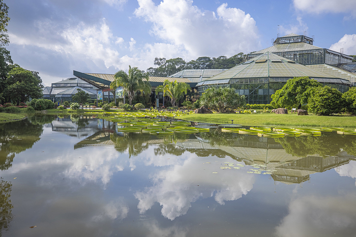 　华南国家植物园展览温室群&nbsp;&nbsp;付海燕/IC photo 图