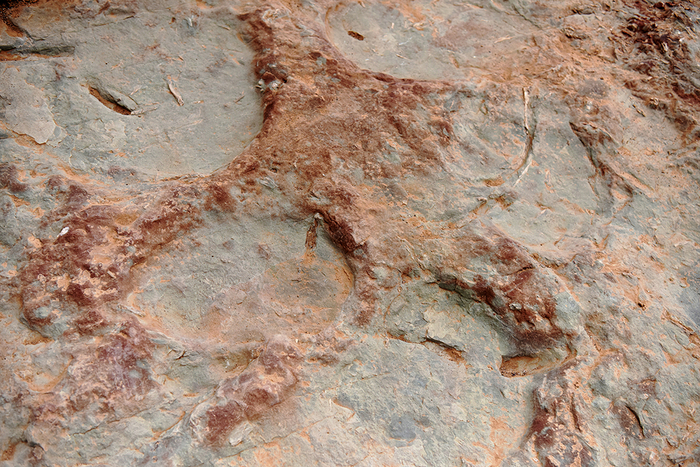 位于河北张家口宣化区崞村镇立石村的恐龙足迹化石点。陈晓东/视觉中国 图