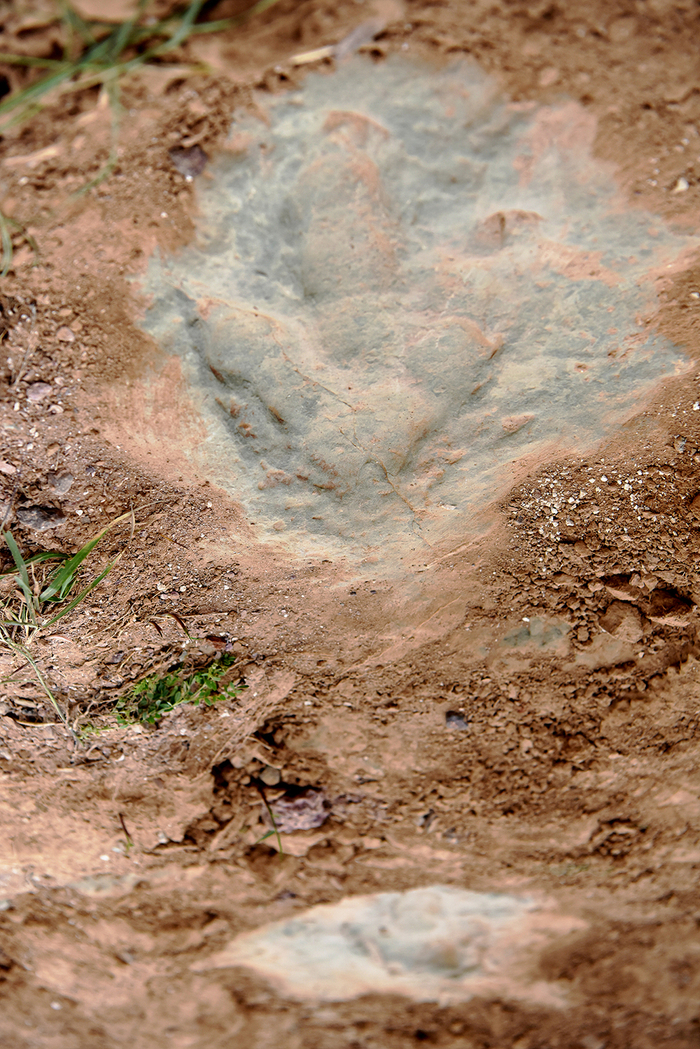 位于河北张家口宣化区崞村镇立石村的恐龙足迹化石点。陈晓东/视觉中国 图