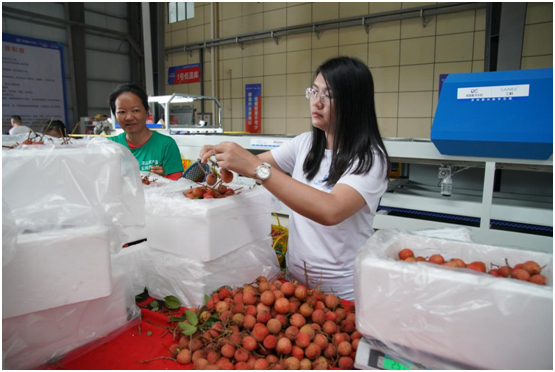 牵手阿里，三科农业供应链成本降低20%左右