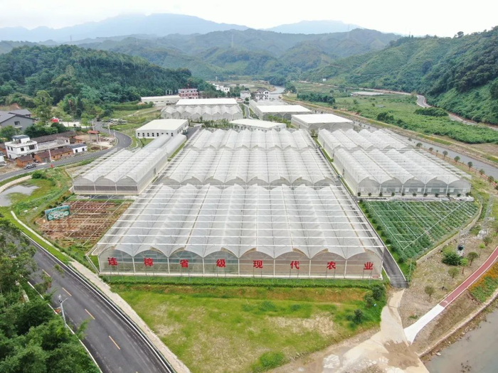 连樟村现代农业产业园航拍图