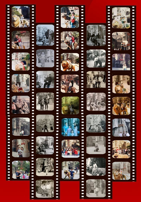 &nbsp;&nbsp;&nbsp;&nbsp;今年虎年，北京动物园向游客征集狮虎山前的老照片。北京动物园供图