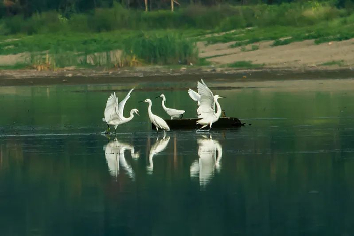 图片来源：东方IC