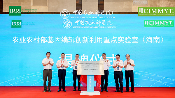 揭牌仪式现场  中国农业科学院 供图基因编辑技术是颠覆性,引领性