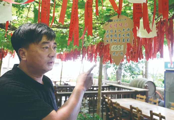 村党支部书记正在讲述葡萄树王的经济价值。记者马朝摄