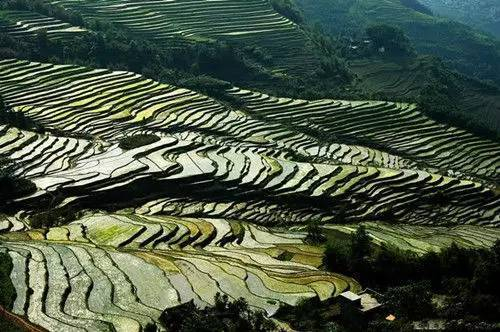 地理视角看梯田考点,附中国10大最美梯田,个个都是天堂!|龙脊梯田|紫鹊界梯田|云和|大雾山|坡面_新浪新闻