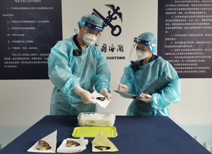 图片来源：北京海关提供，摄影：孟晨