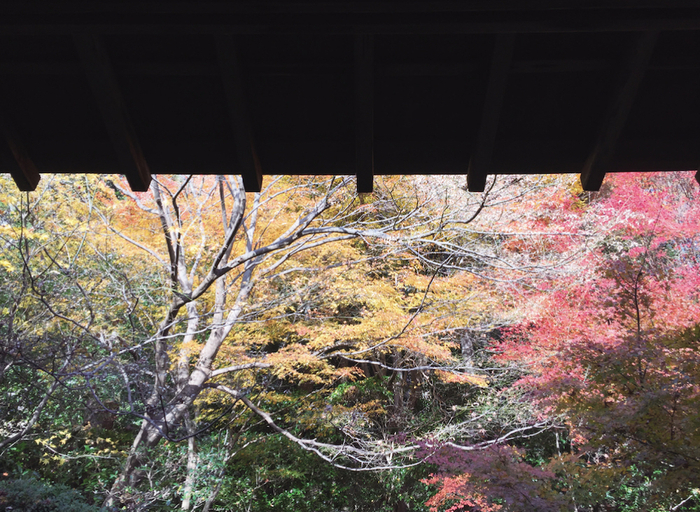 后园里一角黄 叶和红叶充盈 的图画在檐柱 中被框出来。