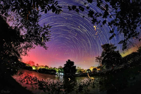 中国科学院西双版纳热带植物园 供图夜幕降临，星河流转这份专属于云南的唯美浪漫正对你发起邀约