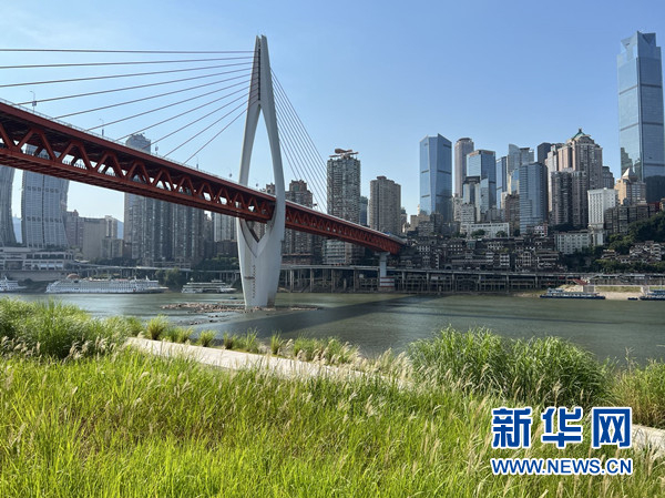 　　江北区江北城段消落区江滩公园（新华网记者 刘厦摄）