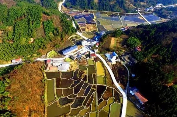 冷水镇风光  图：石柱发布