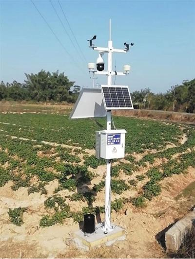 “迷你田园”使用的智慧农业物联网监测设备。受访者供图