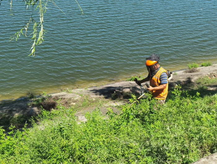 唐指山水库的工作人员正在库区岸边清理杂草。本报记者 王天淇 摄