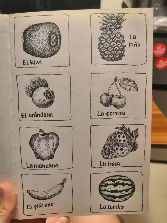 陈玲在自学西班牙语，把学到的单词画了下来。