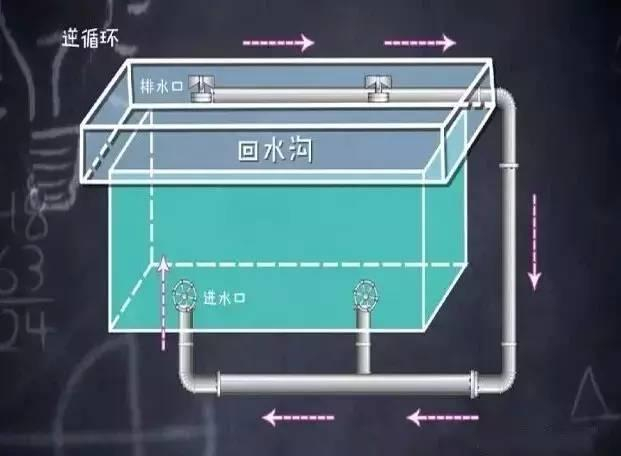 图片来源：好奇实验室视频截图 