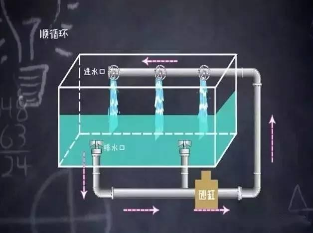 图片来源：好奇实验室视频截图 