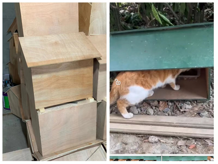 “一万个猫窝”计划