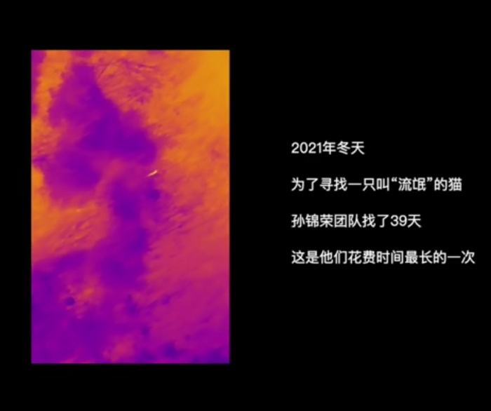 最长的一次，孙锦荣团队用了39天在野外找到被丢弃的小猫。