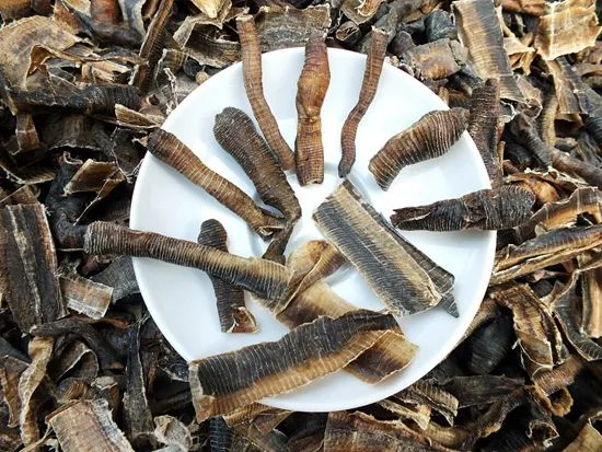 地龙 视觉中国供图