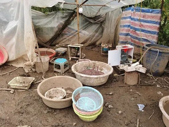 制作地龙干的现场。威宁县检察院供图