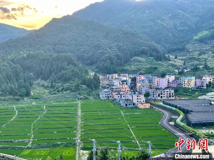 俯瞰周宁县七步镇后洋村。　吕巧琴 摄