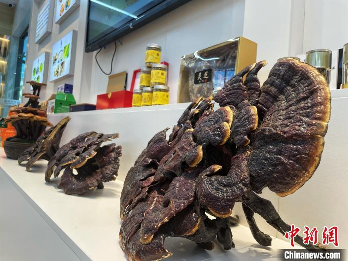 周宁农特产品展示。　吕巧琴 摄